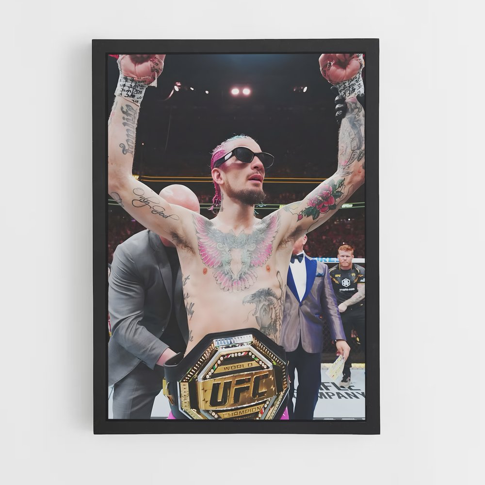Poster Pink Ink – affiche MMA (vue 2)
